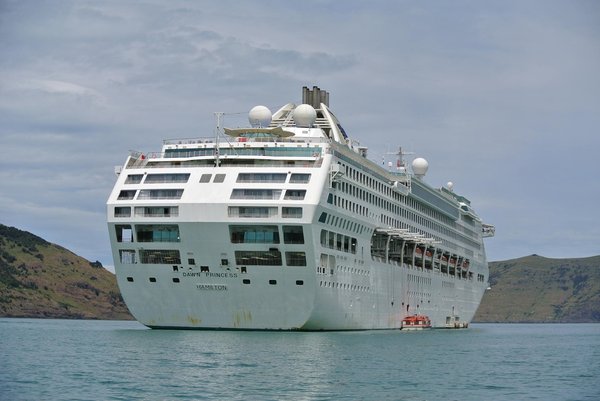 Comment organiser un camping pour une observation des papillons diurnes dans des prairies alpines?